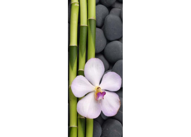 Наклейка на дверь Белая орхидея и бамбуковые стебли